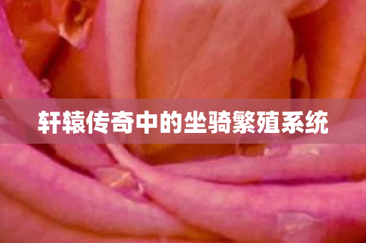 轩辕传奇中的坐骑繁殖系统图片