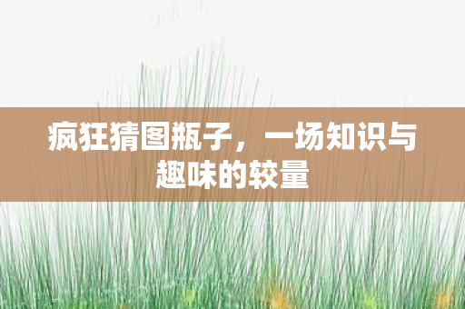 一场知识与趣味的较量图片