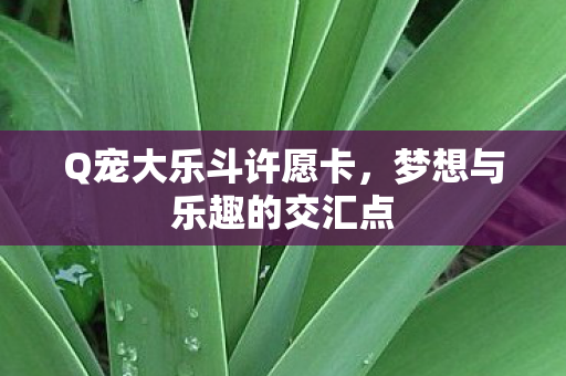 梦想与乐趣的交汇点图片