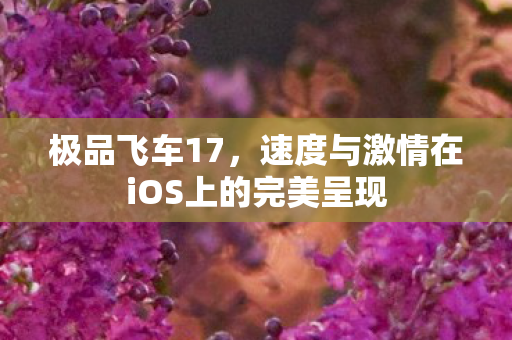 速度与激情在iOS上的完美呈现图片