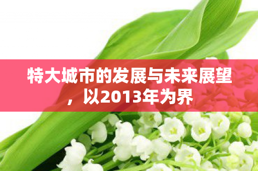特大城市的发展与未来展望图片
