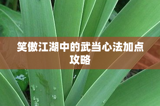 笑傲江湖中的武当心法加点攻略图片