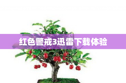 红色警戒3迅雷下载体验图片