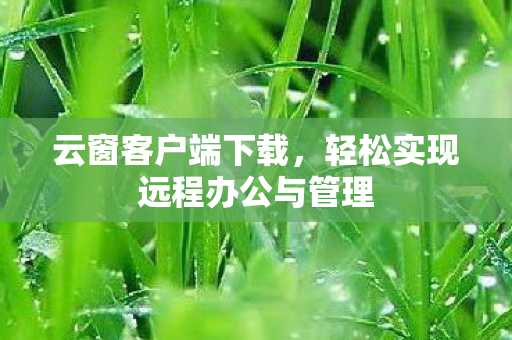 轻松实现远程办公与管理图片