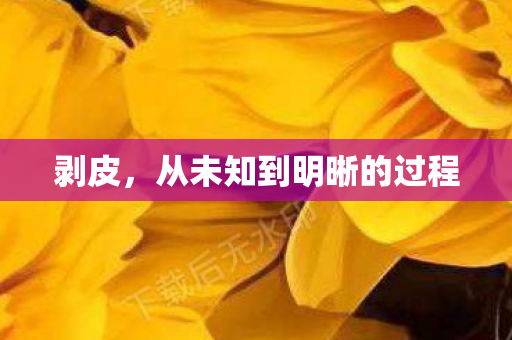 从未知到明晰的过程图片