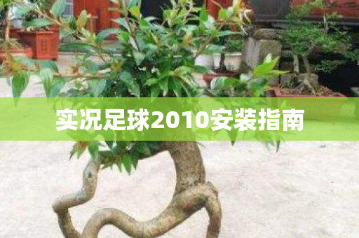 实况足球2010安装指南图片