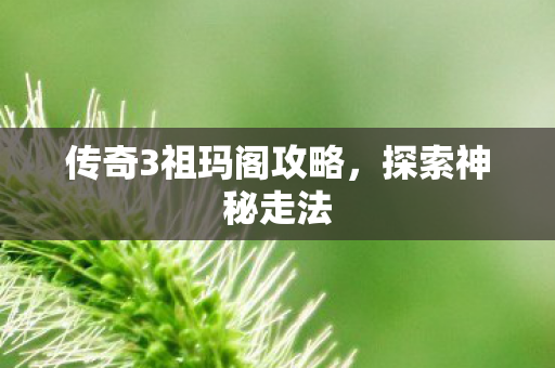 传奇3祖玛阁攻略图片