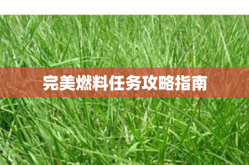 完美燃料任务攻略指南图片