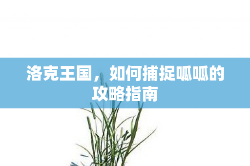 如何捕捉呱呱的攻略指南图片