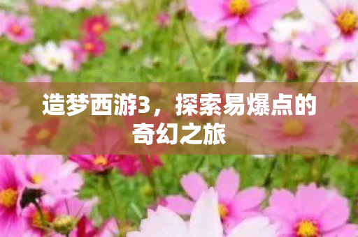 探索易爆点的奇幻之旅图片