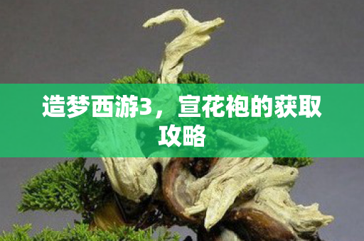 宣花袍的获取攻略图片