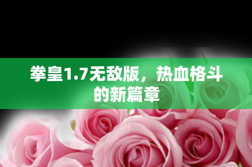 热血格斗的新篇章图片