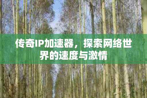 探索网络世界的速度与激情图片