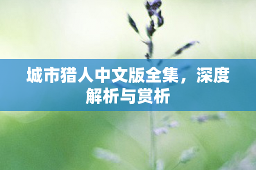 城市猎人中文版全集图片