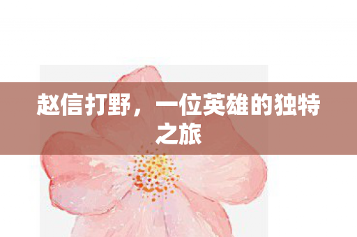 一位英雄的独特之旅图片