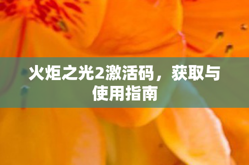 火炬之光2激活码图片