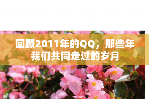 那些年我们共同走过的岁月图片