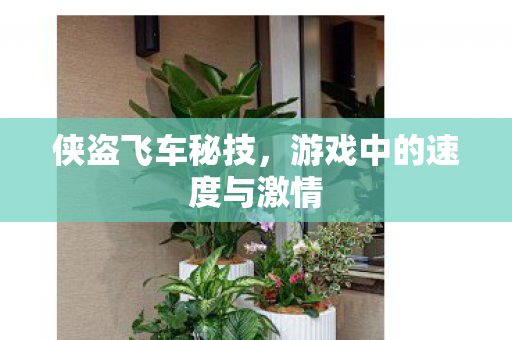 游戏中的速度与激情图片
