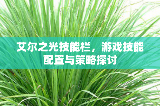 游戏技能配置与策略探讨图片