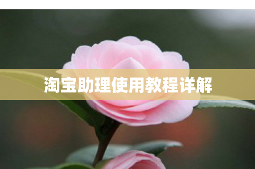 淘宝助理使用教程详解图片
