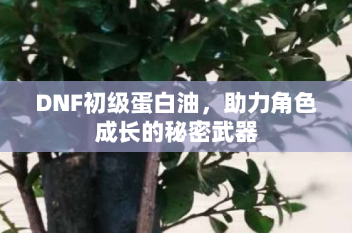 助力角色成长的秘密武器图片