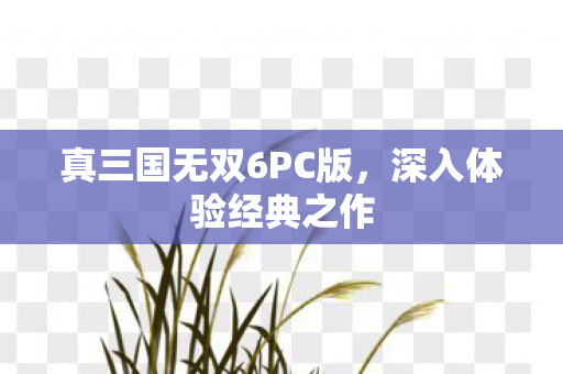 真三国无双6PC版图片