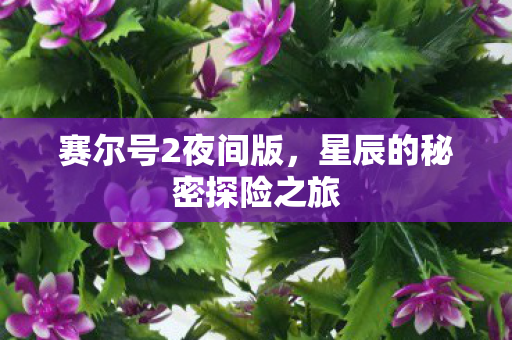 星辰的秘密探险之旅图片