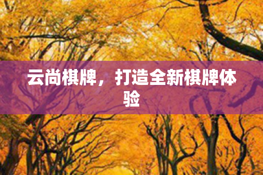 打造全新棋牌体验图片