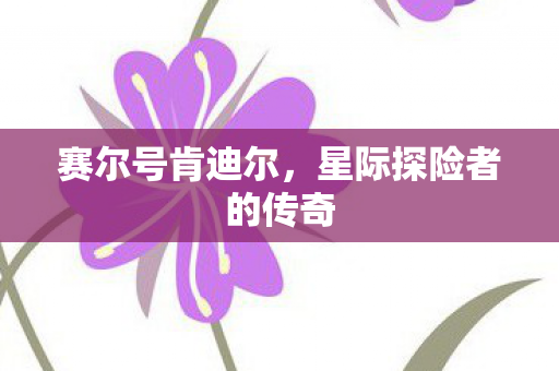 星际探险者的传奇图片