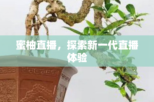 探索新一代直播体验图片