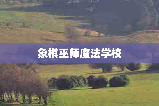 象棋巫师魔法学校图片