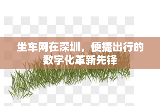 便捷出行的数字化革新先锋图片