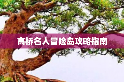 高桥名人冒险岛攻略指南图片
