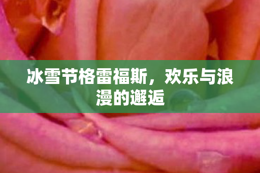 欢乐与浪漫的邂逅图片