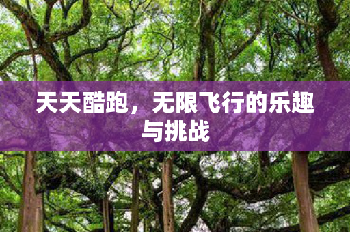无限飞行的乐趣与挑战图片