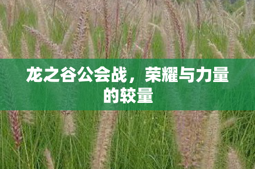 荣耀与力量的较量图片