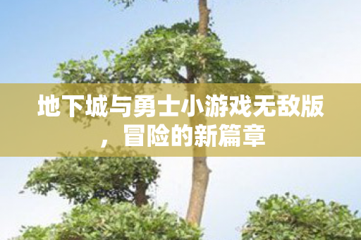 地下城与勇士小游戏无敌版图片