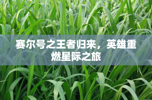 赛尔号之王者归来图片