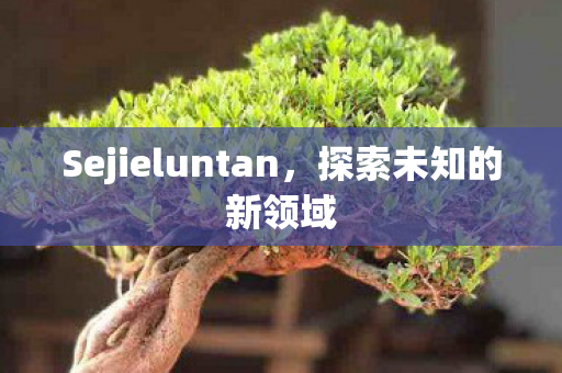 Sejieluntan图片