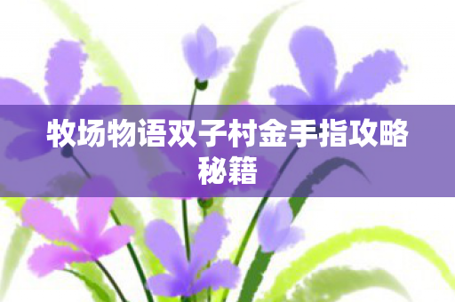 牧场物语双子村金手指攻略秘籍图片