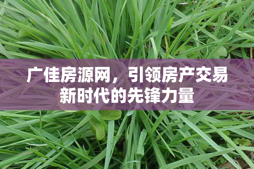 引领房产交易新时代的先锋力量图片