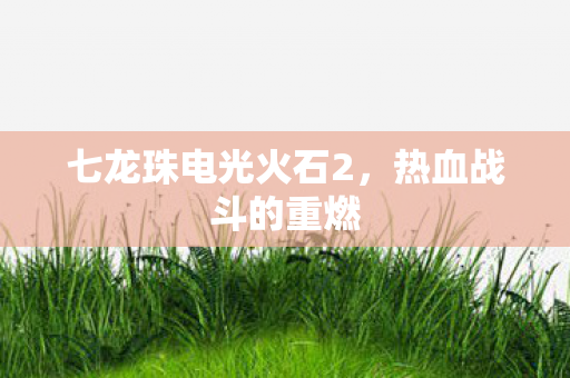 七龙珠电光火石2图片