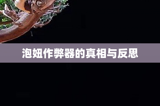 泡妞作弊器的真相与反思图片