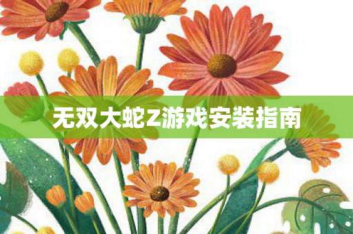 无双大蛇Z游戏安装指南图片