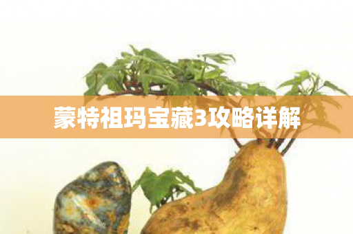 蒙特祖玛宝藏3攻略详解图片