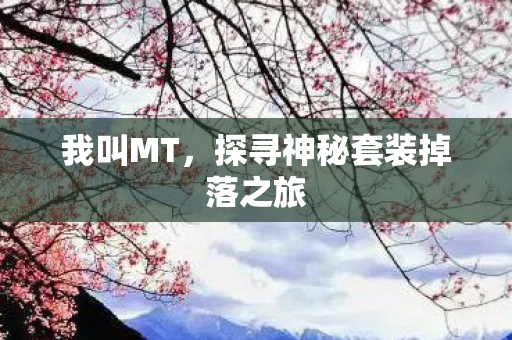 探寻神秘套装掉落之旅图片