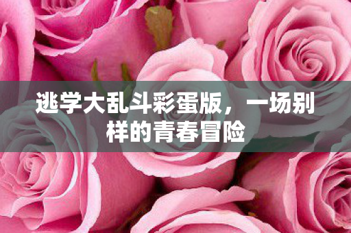一场别样的青春冒险图片