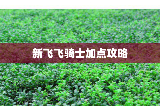 新飞飞骑士加点攻略图片