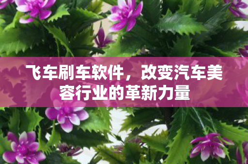 改变汽车美容行业的革新力量图片