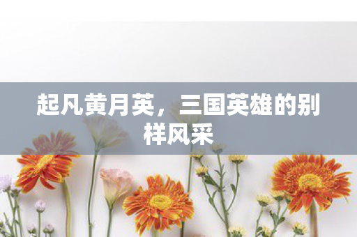 三国英雄的别样风采图片